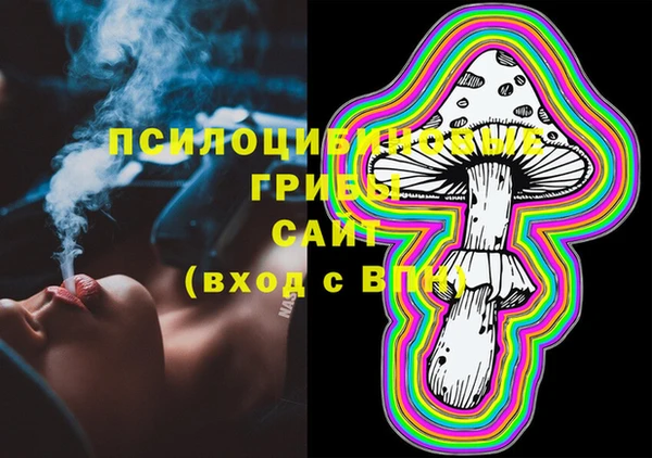 стафф Нефтекумск