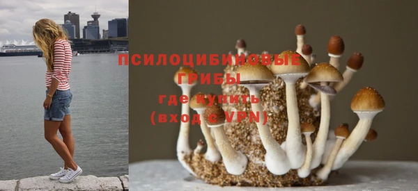MESCALINE Новокубанск