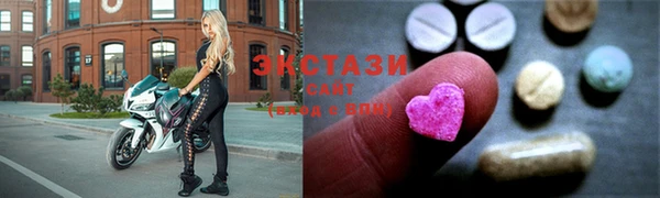 СК Новодвинск