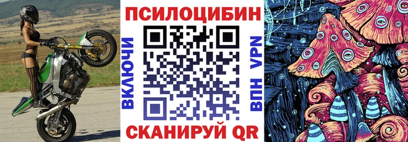 купить  сайты  Череповец  Галлюциногенные грибы Psilocybe 