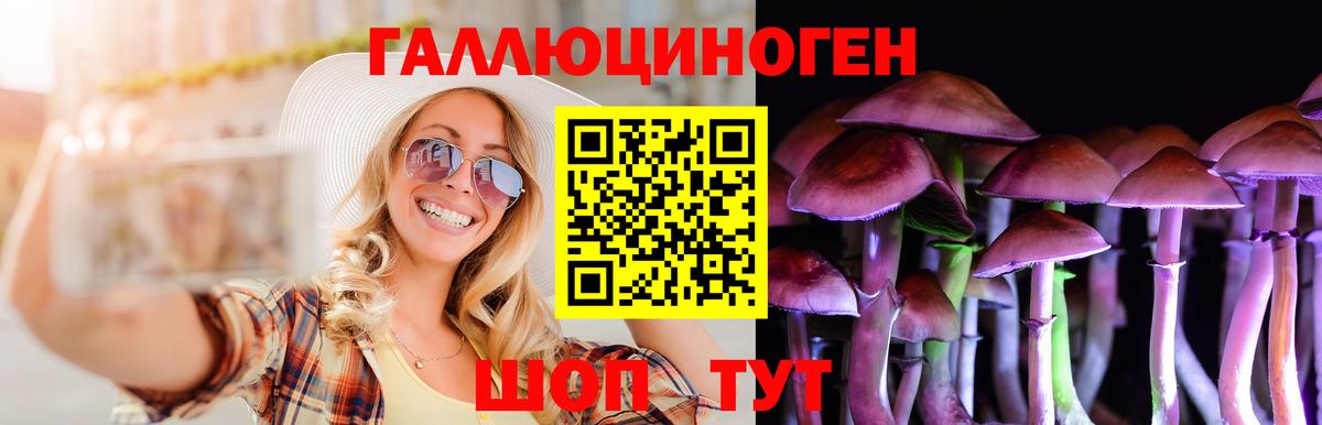 Череповец  Галлюциногенные грибы Magic Shrooms  купить закладку  Вход с VPN 