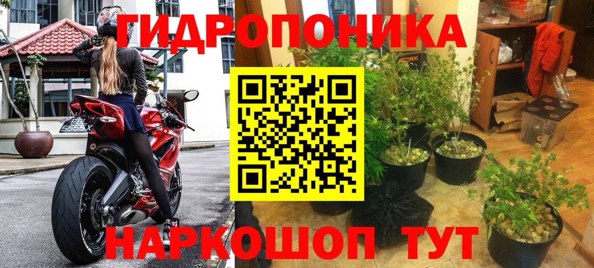 Шишки марихуана семена  Вход с VPN  Шишки марихуана SATIVA & INDICA  Череповец  Канабис Bruce Banner  МАРИХУАНА THC 21% 